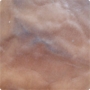 FL010