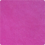 FL013